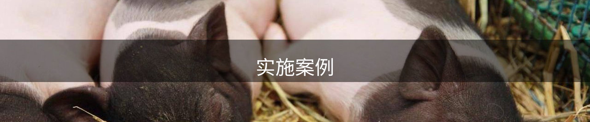 实施案例