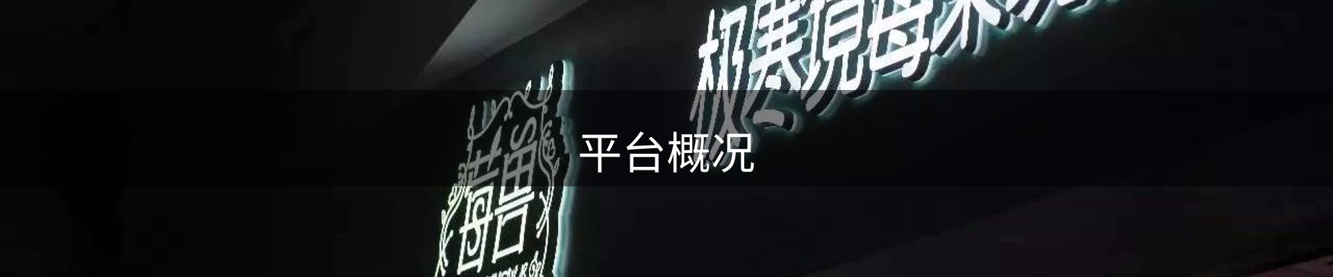 平台概况